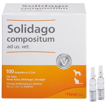 Biologische Heilmittel Heel GmbH Solidago Compositum ad us.vet. - 100 Ampullen Biologische Heilmittel Heel GmbH Solidago Compositum ad us.vet. - 100 Ampullen