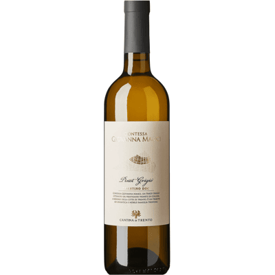 Contessa Manci Pinot-Grigio DOP 2024 - Wein Contessa Manci Pinot-Grigio DOP 2024 - Wein