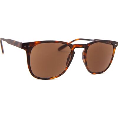 I Need You Reading Sun Playa Tortoise/Brown I Need You Reading Sun Playa Tortoise/Brown