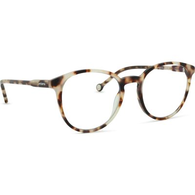 Lentiamo Sandro Ivory Havana Lentiamo Sandro Ivory Havana