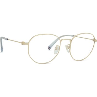 Tommy Hilfiger TH 2065/G J5G 20 52 Tommy Hilfiger TH 2065/G J5G 20 52