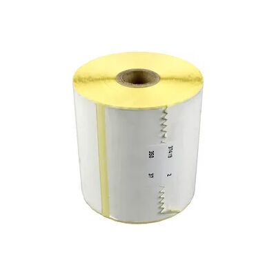 Epson Etiketten C33S045533 102mm x 152mm Premium Matte Label 225 St. Epson Etiketten C33S045533 102mm x 152mm Premium Matte Label 225 St.