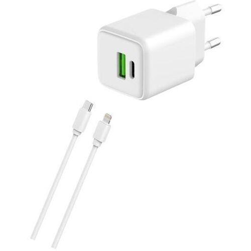 Kabel und Wandgesteck (USB-C + Lightning) 20W - WTK