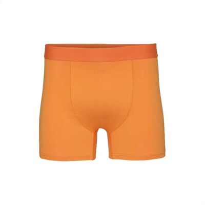 Boxer Colorful Standard Classic Organic sunny orange Orange L Homme Boxer Colorful Standard Classic Organic sunny orange Orange L Homme