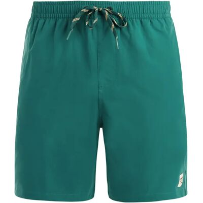 Shorts Protest Tbaky Vert L Homme Shorts Protest Tbaky Vert L Homme
