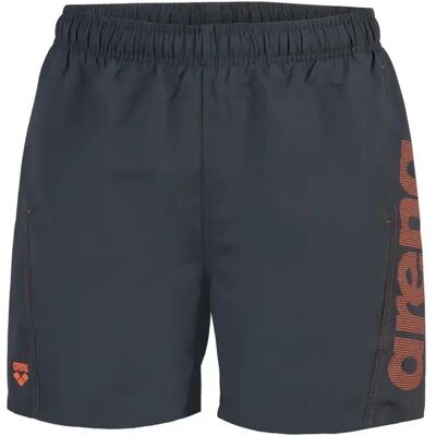 Badehose Arena Fundamentals Logo R Gris 2XL Homme Badehose Arena Fundamentals Logo R Gris 2XL Homme