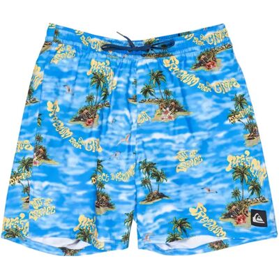 Badehose Quiksilver Everyday Straight Volley (17") Bleu S Homme Badehose Quiksilver Everyday Straight Volley (17") Bleu S Homme
