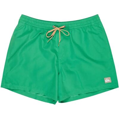 Badehose Quiksilver Everyday Volley 15 Vert M Homme Badehose Quiksilver Everyday Volley 15 Vert M Homme