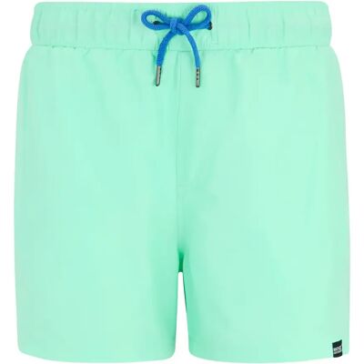 Badehose Regatta Mawson III Vert XL Homme Badehose Regatta Mawson III Vert XL Homme