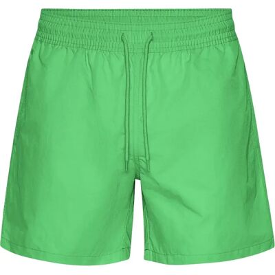 Badehose Colorful Standard Classic Spring Green Grün L Homme Badehose Colorful Standard Classic Spring Green Grün L Homme