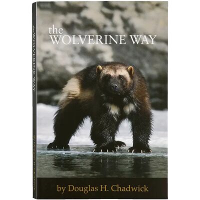 Buch Patagonia The Wolverine Way Noir TU Mixte Buch Patagonia The Wolverine Way Noir TU Mixte