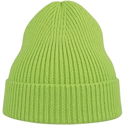 Mütze aus Polyester Atlantis Headwear Andy Vert TU Mixte Mütze aus Polyester Atlantis Headwear Andy Vert TU Mixte