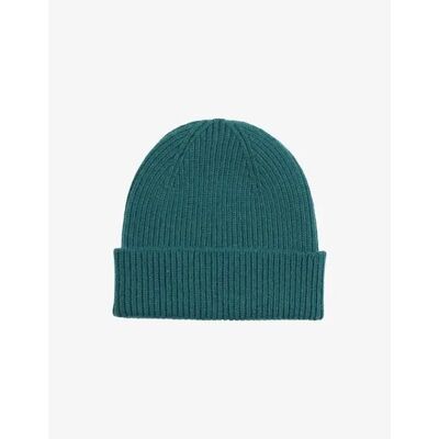 Kappe Colorful Standard merino wool Vert TU Mixte Kappe Colorful Standard merino wool Vert TU Mixte