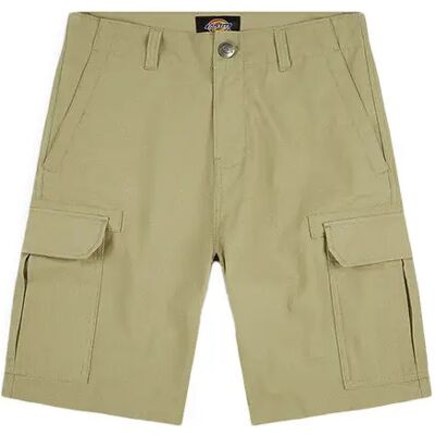 Shorts Dickies Millerville Vert 28 Homme Shorts Dickies Millerville Vert 28 Homme