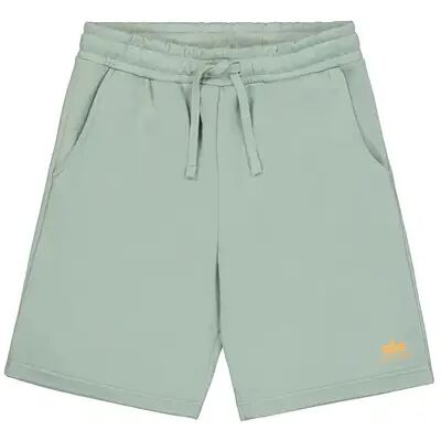 Shorts Alpha Industries II Small Vert L Homme Shorts Alpha Industries II Small Vert L Homme