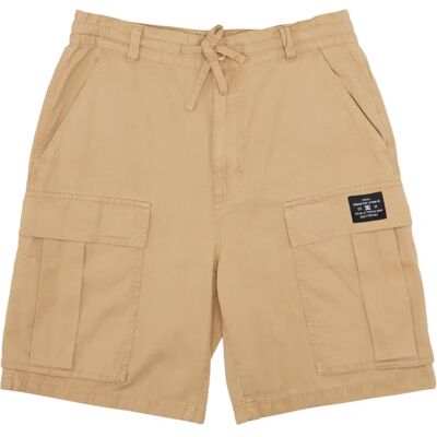 Cargo Shorts DC Shoes Tundra Beige L Homme Cargo Shorts DC Shoes Tundra Beige L Homme