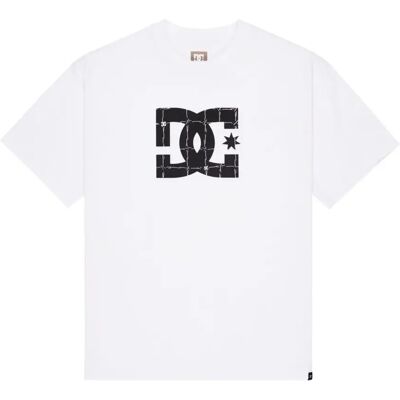 T-Shirt DC Shoes Star Filled Blanc XS Homme T-Shirt DC Shoes Star Filled Blanc XS Homme