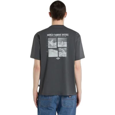 T-Shirt Dickies Wolfhurst Gris M Homme T-Shirt Dickies Wolfhurst Gris M Homme