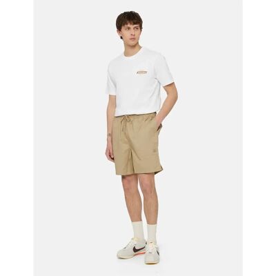 Bermuda Dickies Pelican Rapids Beige S Homme Bermuda Dickies Pelican Rapids Beige S Homme