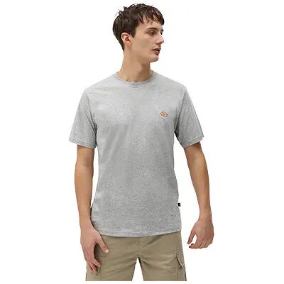 T-Shirt mit kurzen Ärmeln Dickies Mapleton Gris S Homme T-Shirt mit kurzen Ärmeln Dickies Mapleton Gris S Homme