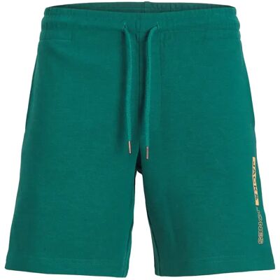 Shorts Jack & Jones Neo Multicolore M Homme Shorts Jack & Jones Neo Multicolore M Homme
