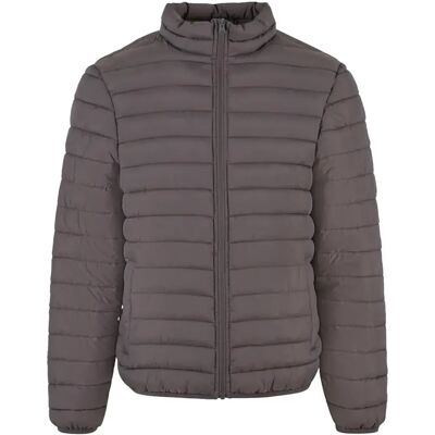 Leichte Daunenjacke New Morning Studios Gris L Homme Leichte Daunenjacke New Morning Studios Gris L Homme