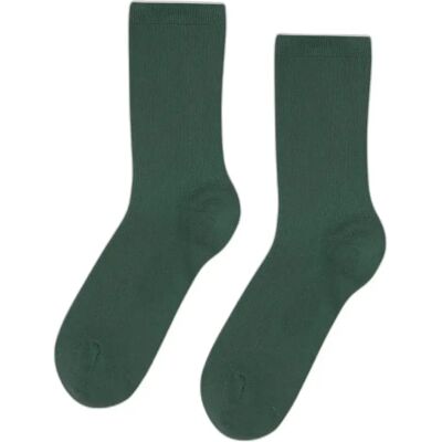 Socken für Frauen Colorful Standard Classic Organic Emerald Green Vert 36/40 Femme Socken für Frauen Colorful Standard Classic Organic Emerald Green Vert 36/40 Femme