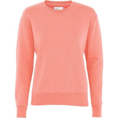 Pullover mit Rundhalsausschnitt Frau Colorful Standard Classic Organic bright coral Orange M Femme Pullover mit Rundhalsausschnitt Frau Colorful Standard Classic Organic bright coral Orange M Femme