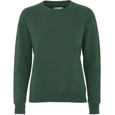 Pullover mit Rundhalsausschnitt Frau Colorful Standard Classic Organic emerald green Vert S Femme Pullover mit Rundhalsausschnitt Frau Colorful Standard Classic Organic emerald green Vert S Femme