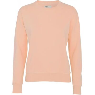 Pullover mit Rundhalsausschnitt Frau Colorful Standard Classic Organic paradise peach Rose L Femme Pullover mit Rundhalsausschnitt Frau Colorful Standard Classic Organic paradise peach Rose L Femme