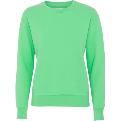 Pullover mit Rundhalsausschnitt Frau Colorful Standard Classic Organic spring green Vert M Femme Pullover mit Rundhalsausschnitt Frau Colorful Standard Classic Organic spring green Vert M Femme