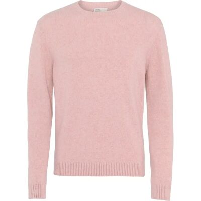 Pullover mit Rundhalsausschnitt aus Wolle Colorful Standard Classic Merino faded pink Rose XS Mixte Pullover mit Rundhalsausschnitt aus Wolle Colorful Standard Classic Merino faded pink Rose XS Mixte