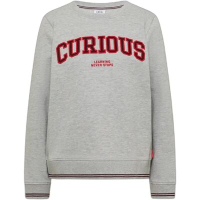Sweatshirt mit Stickerei für Frauen Cecil TOS Gris L Femme Sweatshirt mit Stickerei für Frauen Cecil TOS Gris L Femme