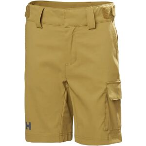 Helly Hansen Modell 164/14 Schnell-Trocknende Cargoshorts - Shorts Helly Hansen Modell 164/14 Schnell-Trocknende Cargoshorts - Shorts