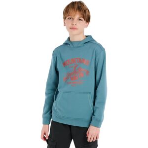Kinder-Hoodie Protest Prtkestrel Vert 14 ans Homme Kinder-Hoodie Protest Prtkestrel Vert 14 ans Homme