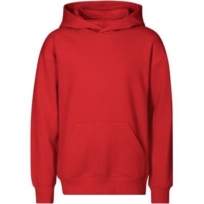Kinder Kapuzenpullover Malfini Chill 423 Rouge 6 ans Mixte Kinder Kapuzenpullover Malfini Chill 423 Rouge 6 ans Mixte