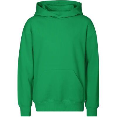 Kinder Kapuzenpullover Malfini Chill 423 Vert 6 ans Mixte Kinder Kapuzenpullover Malfini Chill 423 Vert 6 ans Mixte
