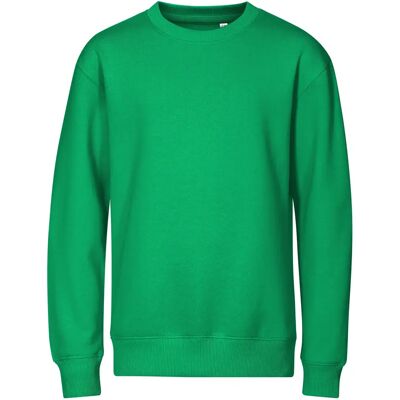 Kinder Sweatshirt Malfini Crew 427 Vert 12 ans Mixte Kinder Sweatshirt Malfini Crew 427 Vert 12 ans Mixte