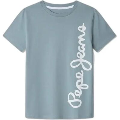 T-Shirt Pepe Jeans Waldo N Beige 16 ans Homme T-Shirt Pepe Jeans Waldo N Beige 16 ans Homme