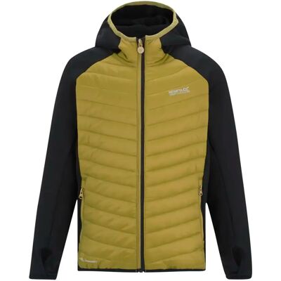Hybridjacke Kind Regatta Andreson Noir 11/12 ans Mixte Hybridjacke Kind Regatta Andreson Noir 11/12 ans Mixte
