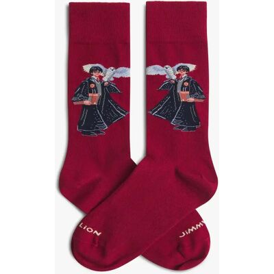 Socken Jimmy Lion Harry Potter The Boy Who Lived Rouge 41/46 Mixte Socken Jimmy Lion Harry Potter The Boy Who Lived Rouge 41/46 Mixte