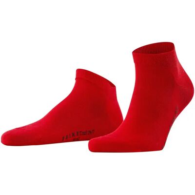 Socken aus Baumwolle Falke Cool 24/7 Rouge 39/40 Homme Socken aus Baumwolle Falke Cool 24/7 Rouge 39/40 Homme