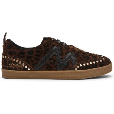 Damen Sneakers Steve Madden Degree-Stud Marron 36 Femme Damen Sneakers Steve Madden Degree-Stud Marron 36 Femme
