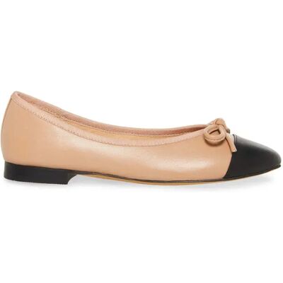 Ballerinas Frau Steve Madden Ellison Marron 40 Femme Ballerinas Frau Steve Madden Ellison Marron 40 Femme