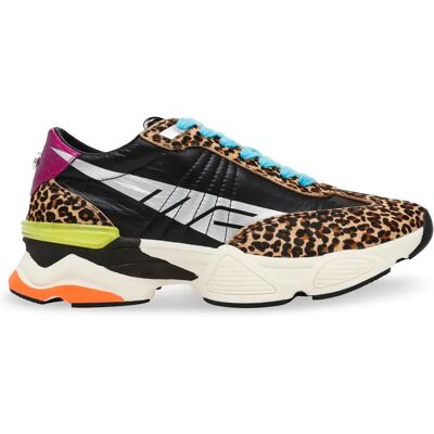 Sneakers Steve Madden Setback Noir 38 Femme Sneakers Steve Madden Setback Noir 38 Femme