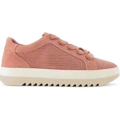 Damen Sneakers Toms Rea Rose 38,5 Femme Damen Sneakers Toms Rea Rose 38,5 Femme