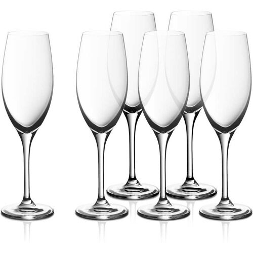 WMF EasyPlus Champagnerkelche, 6 Stück