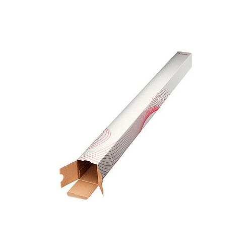 Esselte Versandhülsen eckig für DIN A0, DIN B0, DIN C0, 10 St.