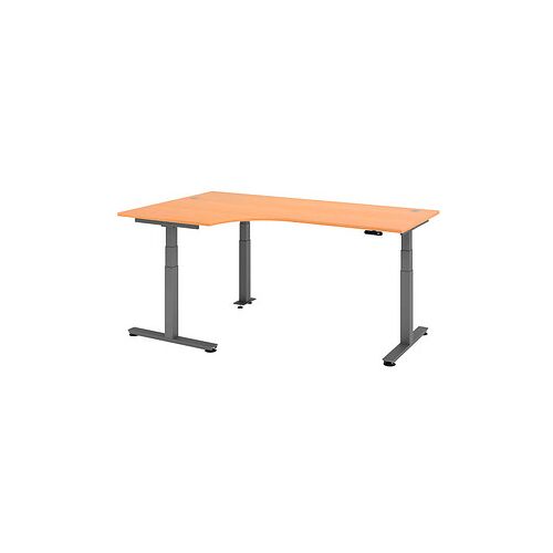 HAMMERBACHER VXDSM82 elektrisch höhenverstellbarer Schreibtisch buche L-Form, T-Fuß-Gestell grau 200,0 x 120,0 cm