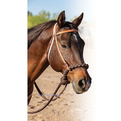 Professional''s Choice Loping Hackamore – Professionals Choice
